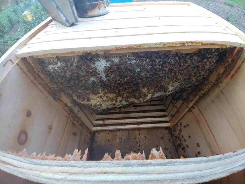 Lazutin Horizontal Bee Hive 12 or 15 Frame size Honey Bees