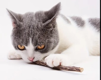 Matatabi chew sticks for cats/Matatabi sticks/Cat dental care/Cat toy/Wooden cat sticks/Matatabi wood/Catnip