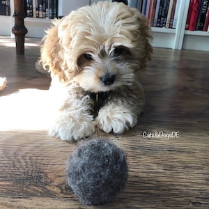 Dog toys/dog balls/play ball/felt ball/dog ball/felt balls/felt ball/cat toys/cattoys/dogtoys/feltballs/pettoys/