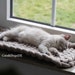 see more listings in the Windowsill bed section