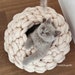 see more listings in the Cat cave/dog cave section