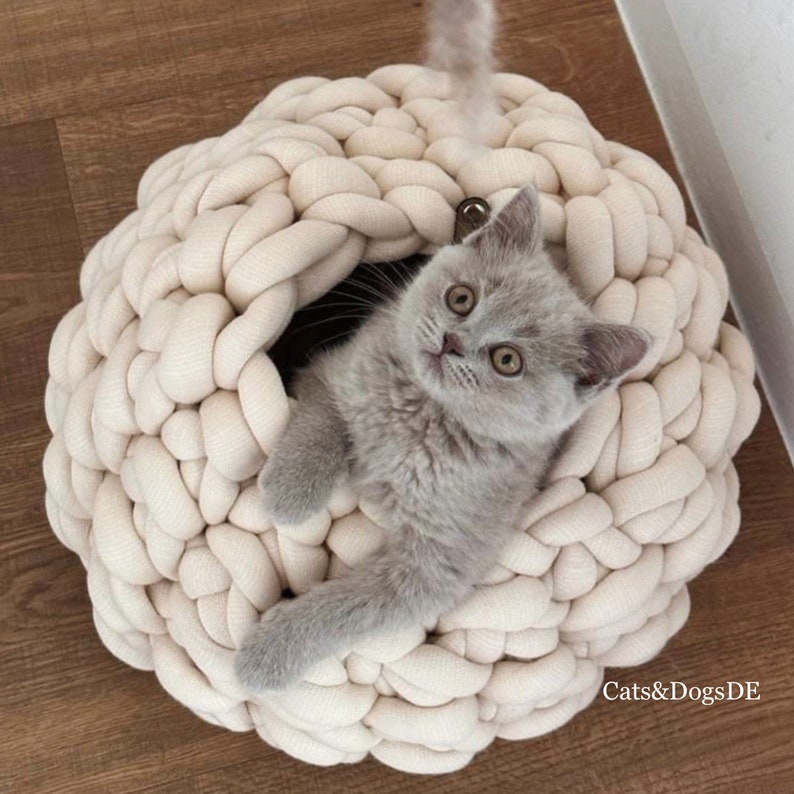 May include: A round, cream-colored pet bed made of thick, chunky knit fabric with a large opening. A small, light gray kitten with large eyes is resting inside the bed. The text "Cats&DogsDE" is printed in the bottom right corner of the image.