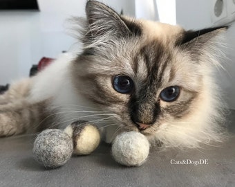 Cat toys/felt balls/dog toys/cat balls/dog balls/play balls//dog balls/felt balls/felt balls/cattoys/dog toys/felt balls/pet toys/