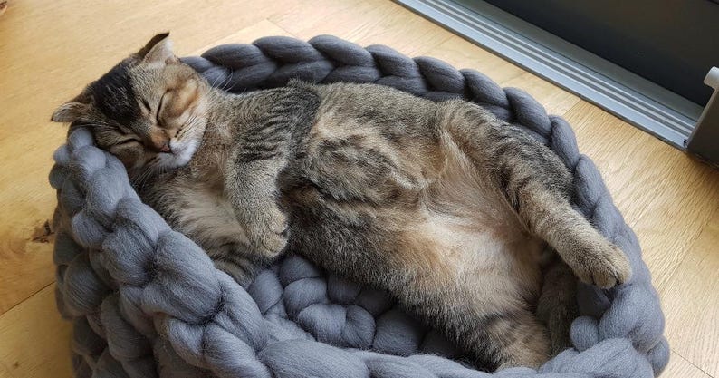 May include: A tabby cat sleeping peacefully in a gray, woven cat bed. The cat has brown and black markings and is curled up in the center of the bed. The bed is round and made of thick, soft yarn.