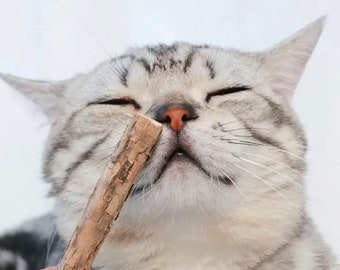 Bâtonnets Matatabi pour chats/soins dentaires pour chats/bâtons à mâcher/jouets pour chats/bâtons pour chats en bois/bois Matatabi/herbe à chat