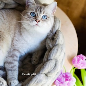 May include: A light-colored cat with striking blue eyes and grey tabby markings resting inside a thick, braided grey wool basket. The text Cats&DogsDE is visible on the side of the basket. Two pink tulips are positioned near the basket.