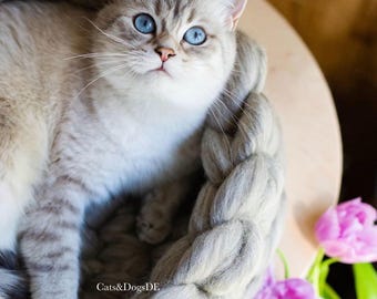 Merino wool cat bed/dog bed/cat basket/dog basket/cuddle basket/cat basket/dog basket/dog bed/cat bed Merino wool