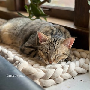 Puede incluir: Un gato atigrado durmiendo en una cama de punto de color crema. El gato está enroscado con los ojos cerrados y las patas metidas debajo del cuerpo. La cama está hecha de hilo grueso y tiene un diseño trenzado.