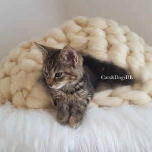 May include: A cream-colored, chunky knit cat cave made of thick yarn, featuring a dome-shaped entrance. A brown tabby kitten is positioned inside the opening. The text Cats&DogsDE is visible on the dark interior fabric of the pet bed.