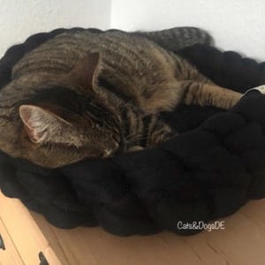 May include: A tabby cat sleeping in a black pet bed. The cat has brown and black striped fur and is curled up in the center of the bed. The bed is round with a thick, textured border. The text "Cats&DogsDE" is visible on the lower right.