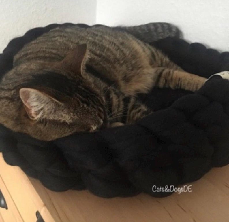 May include: A tabby cat sleeping in a black pet bed. The cat has brown and black striped fur and is curled up in the center of the bed. The bed is round with a thick, textured border. The text "Cats&DogsDE" is visible on the lower right.