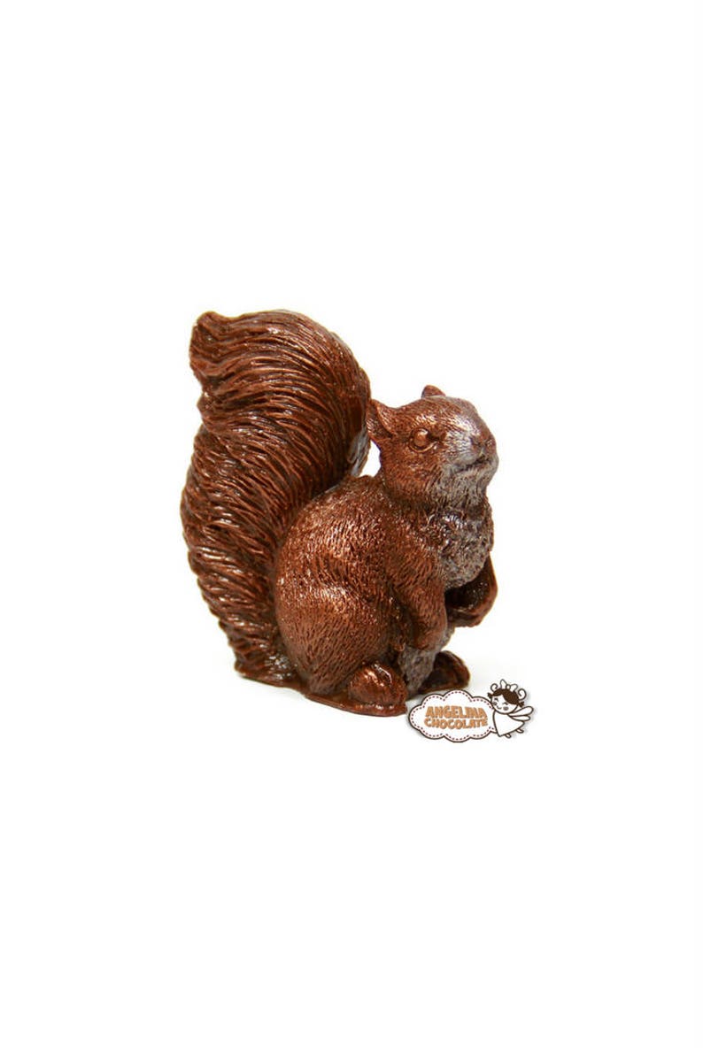 Chocolate Squirrel candy squirrel gift thanks you gift Etsy