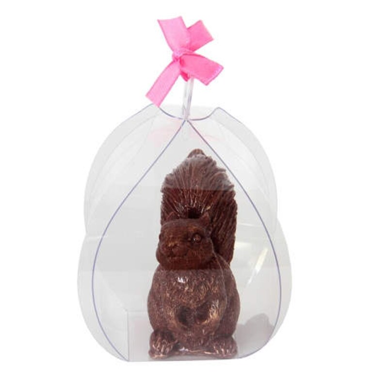 Chocolate Squirrel candy squirrel gift thanks you gift Etsy