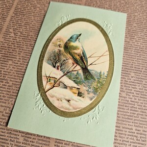Postal navideña antigua con pájaro de invierno, diario basura navideño, postales navideñas, postales coleccionables, Navidad retro, papel vintage