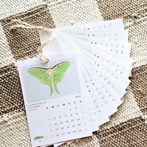 May include: A 2026 calendar featuring a green Luna Moth illustration. The calendar pages are fanned out, with the month of January visible. The calendar is tied together with a natural twine. The background is a brown and tan checkered pattern.