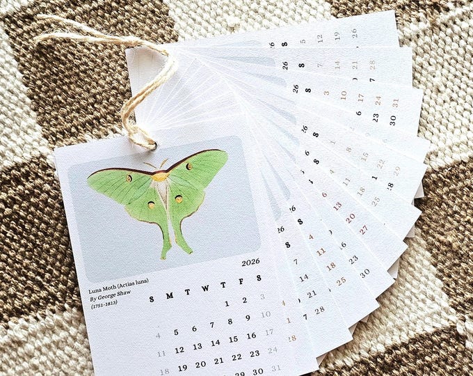 2026 Watercolor Insect Calendar • Botanical Classroom Decor - Etsy Canada