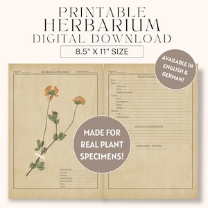 Herbario botánico imprimible / Inglés y alemán (Descarga digital)