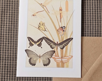 Biglietto d'auguri botanico con farfalla: set con biglietto e busta illustrati / Prairie Hills Studio