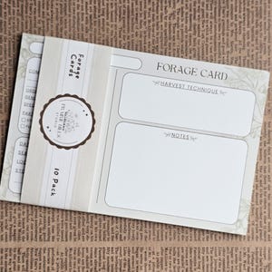 Forage Card Set of 10 | 4x6 Wild Plant ID, Herbalist Gift