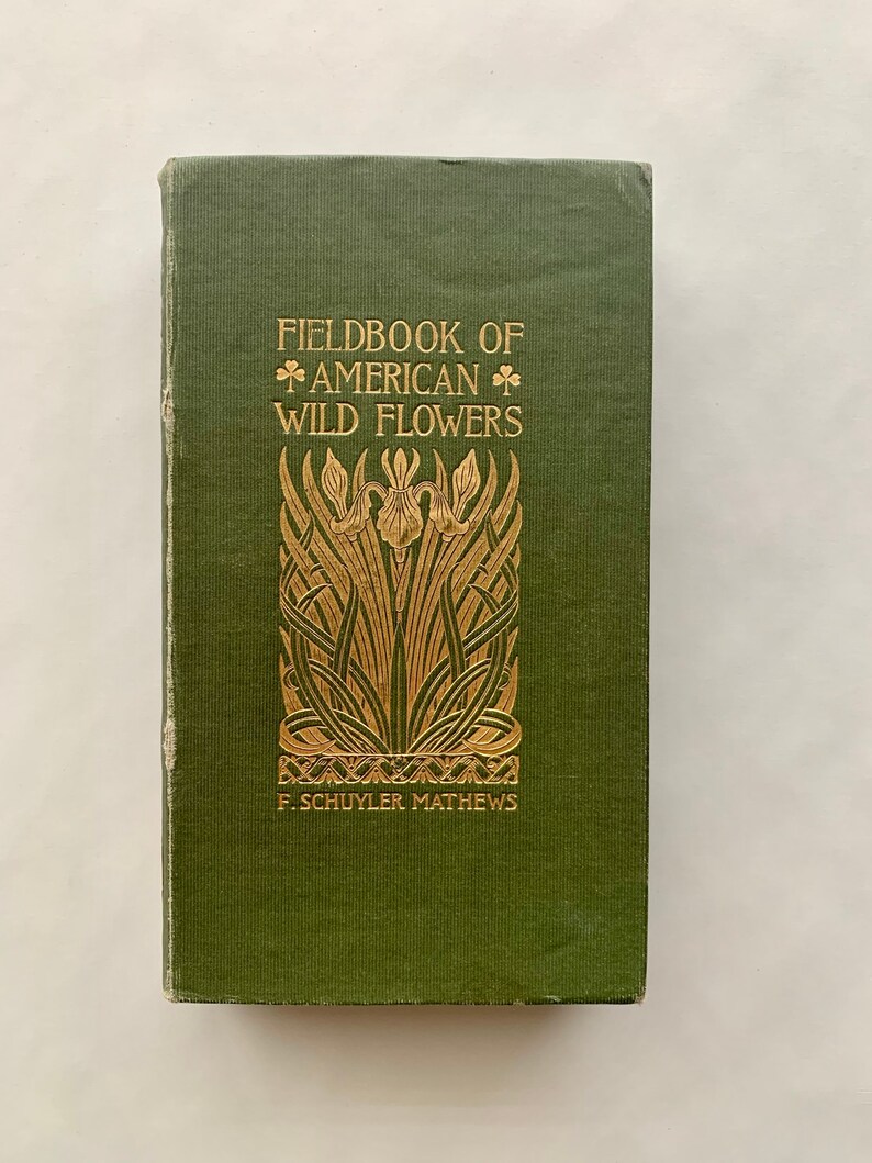 Vintage Wildflower Guide 1902 Field book of American image 1