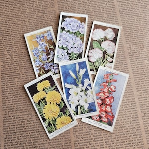 Conjunto de 6 - Cartões de tabaco de flores vintage, cartões florais vintage, cartões de chá, itens de diário de lixo, cartões de flores colecionáveis, cartões de botânica