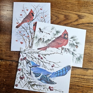 Vintage Winter Birds Illustrated Cards & Envelopes, Set of 3 Stationary Envelope Set, Bird Card, Vintage Bird Ephemera, Junk Journal Supply