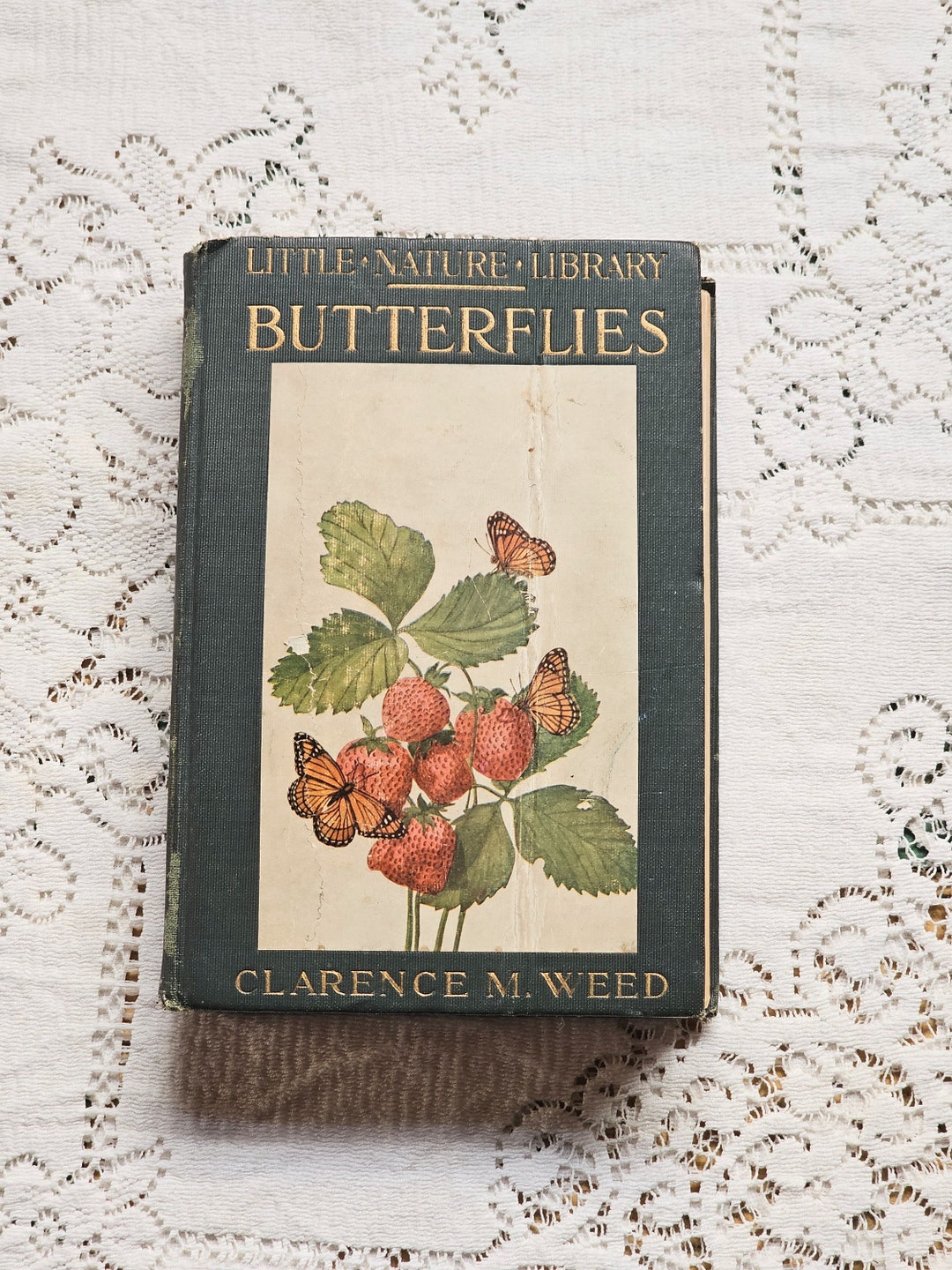 Vintage Butterfly Book Butterfly Guide Entomology Book Etsy
