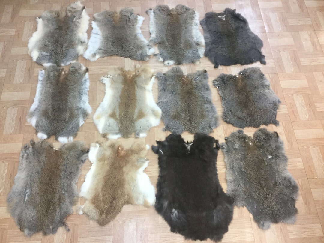 Tanned LOT of 12 b Grade RABBIT Skin Hide Fur Pelt Etsy