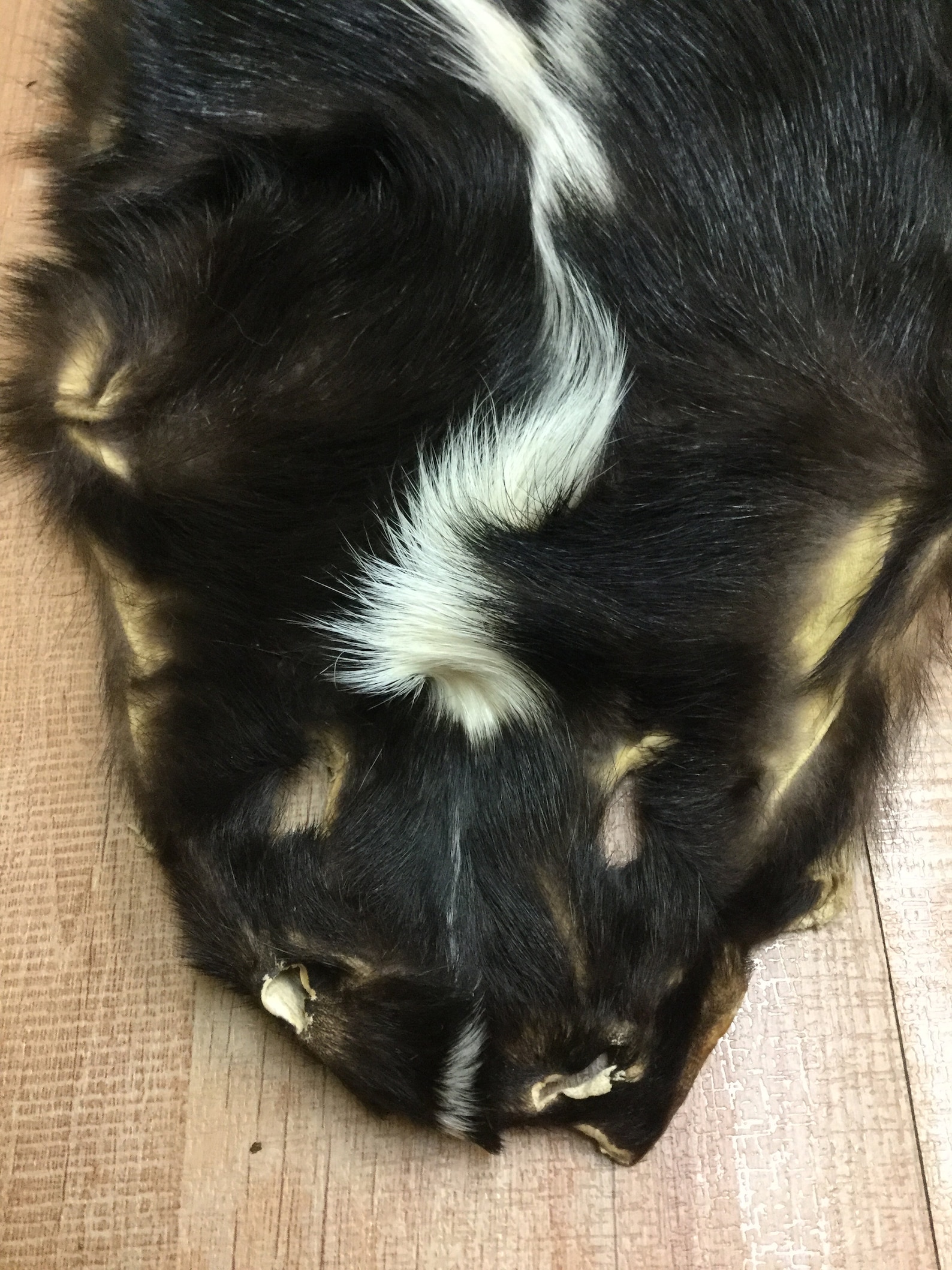 Tanned SKUNK PELT FUR hide skin Skunk Fly Tying 3 | Etsy