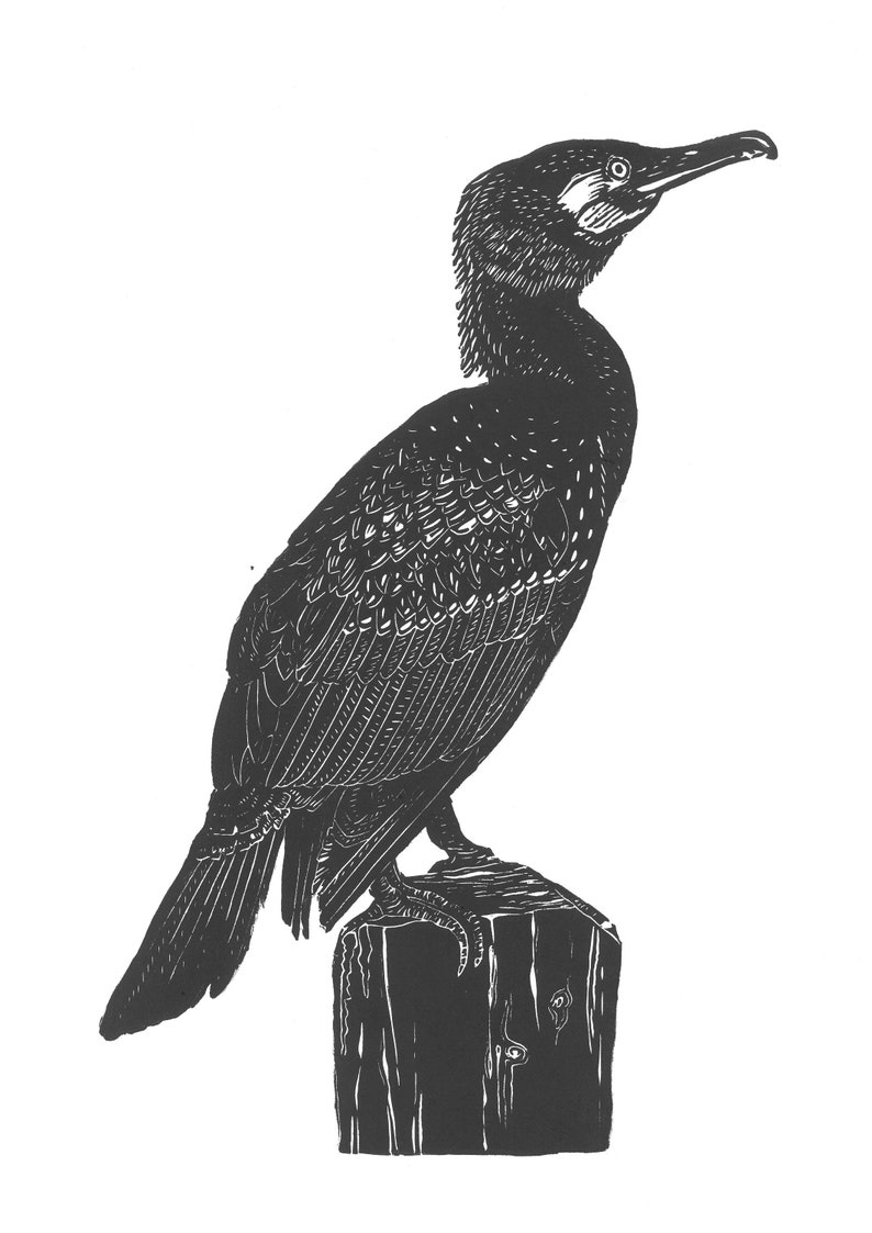 Cormorant Original Linoprint image 2