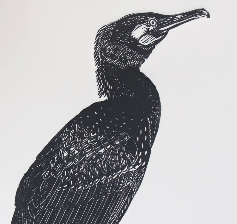 Cormorant Original Linoprint image 3