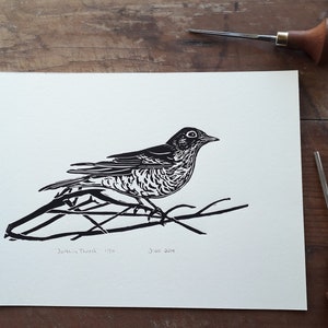 The Darkling Thrush, Song Thrush Original Linoprint