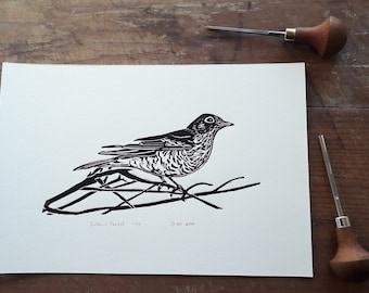 The Darkling Grive, Grive musicienne Linoprint originale