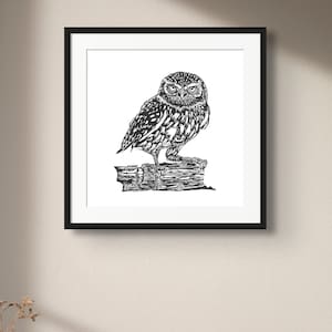 Little Owl Linocut Original Print