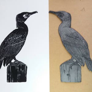 Cormorant Original Linoprint image 6