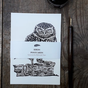 Collection de cartes postales oiseaux 8 cartes