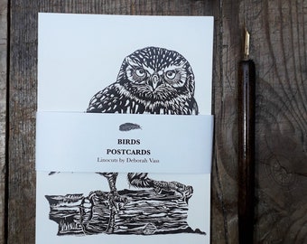 Birds Postcard Collection 8 cards