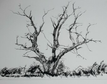 Wortham Oak Drypoint Engraving Limited Edition