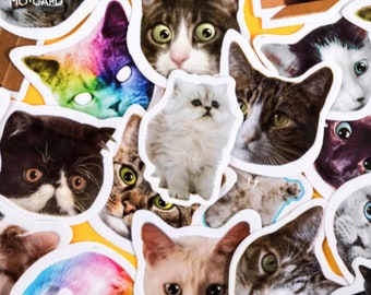 Cute Cat Moods Decorative Stickers 46 Pc Pack ~ Funny Cats Stickers, Cat Kitten Stickers, Animals Stickers, Planner Journal Sticker Set