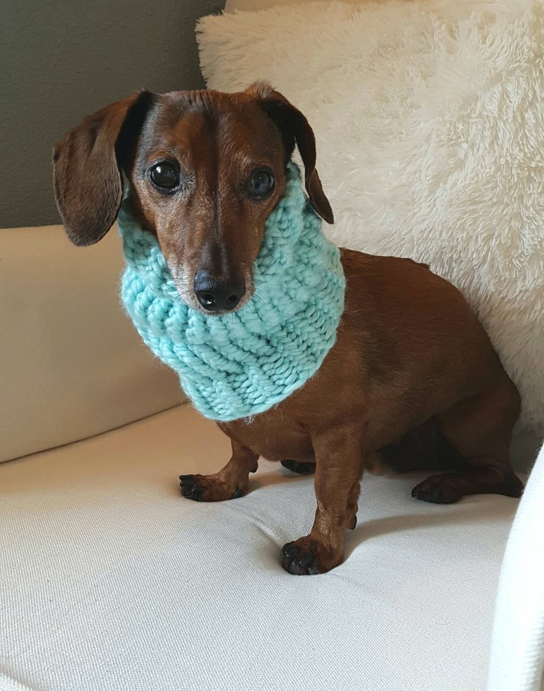 Alpaca Snood in White