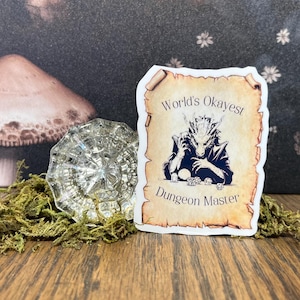 Adesivo, magnete, adesivo per e-reader Kindle, adesivo per bottiglia d'acqua, Dungeons & Dragons, regalo D&D, regalo DM, il miglior Dungeon Master del mondo