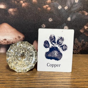 Stickers ou aimants personnalisés avec empreintes de pattes ou de nez, lot d'autocollants, autocollants pour animaux de compagnie, aimants pour animaux de compagnie, autocollants pour coque de téléphone, lot d'autocollants, mémorial pour animal de compagnie