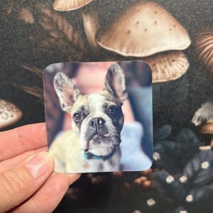 Stickers ou aimants personnalisés pour animaux de compagnie de forme standard, lot d'autocollants, autocollants pour animaux de compagnie, aimants pour animaux de compagnie, autocollant Kindle, autocollant de coque de téléphone, lot d'autocollants