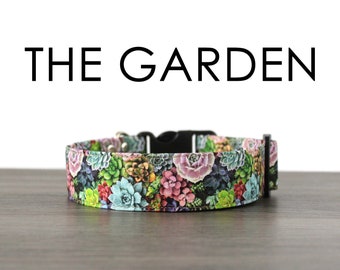 succulent dog collar