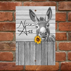 Funny bathroom sign, nice ass; rustic bathroom decor for housewarming gift; vintage metal sign