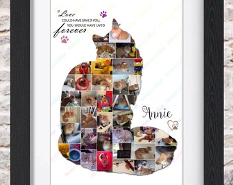Persian Cat Maine Coon Kitten Feline Pet Memorial Sitting Photo Collage Wall Art Home Decor Digital Printable