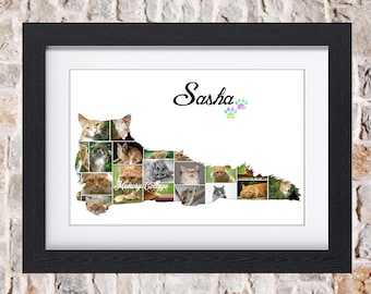 Maine Coon Persian Cat Kitten Feline Pet Memorial Photo Collage Wall Art Home Decor Digital Printable