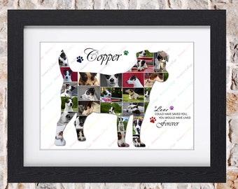 Jack Russell Dog Puppy Canine Pet Memorial Photo Collage Wall Art Home Decor Digital Printable