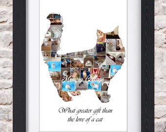 Persian Maine Coon Cat Kitten Feline Pet Memorial Photo Collage Wall Art Home Decor Digital Printable