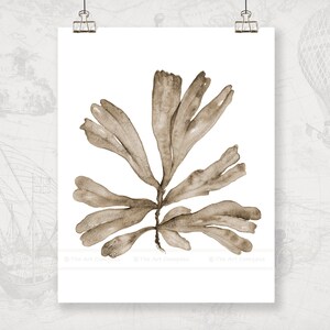 Watercolor Art Printable, Instant Download Art Print of Sea Coral, Coastal Decor for Beach House, Office Wall Art, Bedroom Wall Art
